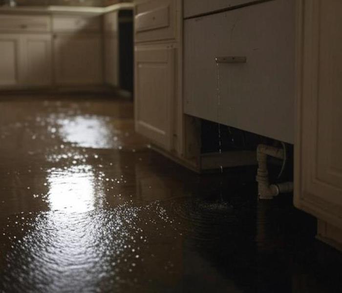 Pipe Leaking Beneath Sink