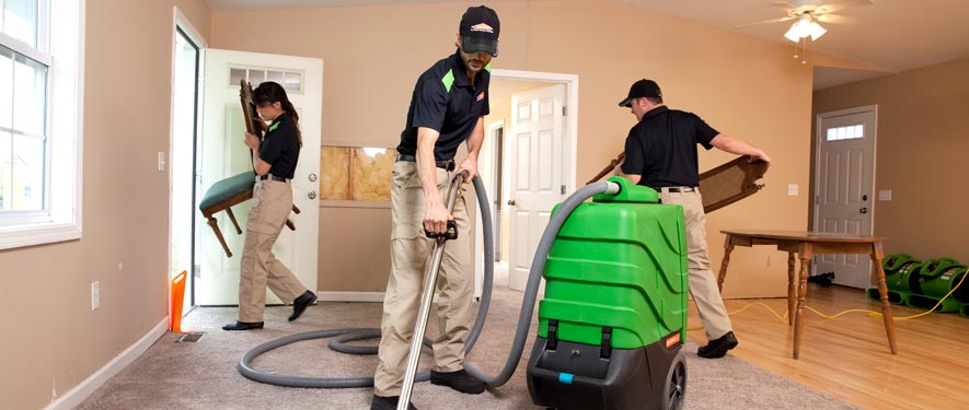 Arlington, TX cleaning services